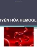 Bài giảng Chuyển hóa hemoglobin - Võ Hồng Trung