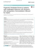 Prognostic histological factors in patients with esophageal squamous cell carcinoma after preoperative chemoradiation followed by surgery