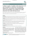 A phase II study of cisplatin with intravenous and oral vinorelbine as induction chemotherapy followed by concomitant chemoradiotherapy with oral vinorelbine and cisplatin for locally advanced non-small cell lung cancer