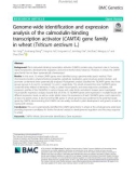 Genome-wide identification and expression analysis of the calmodulin-binding transcription activator (CAMTA) gene family in wheat (Triticum aestivum L.)