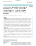 Snail-induced epithelial-to-mesenchymal transition of MCF-7 breast cancer cells: Systems analysis of molecular changes and their effect on radiation and drug sensitivity