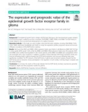 The expression and prognostic value of the epidermal growth factor receptor family in glioma