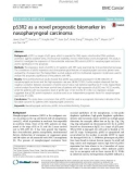 P53R2 as a novel prognostic biomarker in nasopharyngeal carcinoma