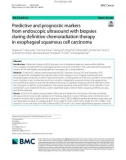 Predictive and prognostic markers from endoscopic ultrasound with biopsies during definitive chemoradiation therapy in esophageal squamous cell carcinoma