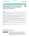 Identifying prognostic lncRNAs based on a ceRNA regulatory network in laryngeal squamous cell carcinoma