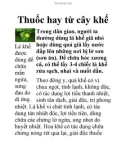 Thuốc hay từ cây khế