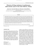 Patterns of drug resistance in pulmonary tuberculosis cases in the Izmir district, Turkey