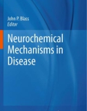 Neurochemical Mechanisms in Disease P1