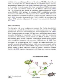 Neurochemical Mechanisms in Disease P5