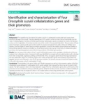 Identification and characterization of four Drosophila suzukii cellularization genes and their promoters