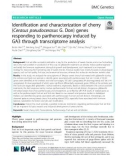 Identification and characterization of cherry (Cerasus pseudocerasus G. Don) genes responding to parthenocarpy induced by GA3 through transcriptome analysis