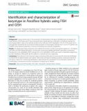 Identification and characterization of karyotype in Passiflora hybrids using FISH and GISH