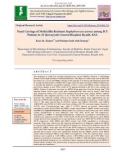 Nasal carriage of methicillin resistant staphylococcus aureus among ICU patients in Al Quwayiyah general hospital, Riyadh, KSA