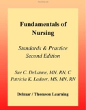 FUNDAMENTALS OF NURSING STANDARDS & PRACTICE SECOND EDITION