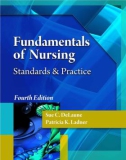 Ebook Fundamentals of nursing - Standards and practice: Part 1