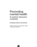 Promoting mental health in scarce-resource contexts Emerging evidence and practice