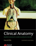 Clinical Anatomy: Applied Anatomy for Students and Junior Doctors