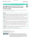 Co-expression of low-risk HPV E6/E7 and EBV LMP-1 leads to precancerous lesions by DNA damage