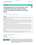 Potential prognostic and therapeutic value of ANXA8 in renal cell carcinoma: Based on the comprehensive analysis of annexins family