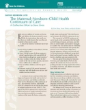 The Maternal–Newborn–Child Health Continuum of Care: A Collective Effort to Save Lives