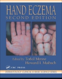 DEMATOLOGY: CLINICAL & BASIC SCIENCE SERIES HAND ECZEMA SECOND EDITION