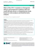 Effect of the STK11 mutation on therapeutic efficacy and prognosis in patients with non-small cell lung cancer: A comprehensive study based on meta-analyses and bioinformatics analyses