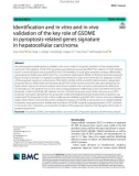 Identification and in vitro and in vivo validation of the key role of GSDME in pyroptosis-related genes signature in hepatocellular carcinoma