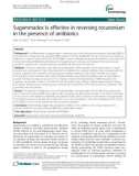 Sugammadex is effective in reversing rocuronium in the presence of antibiotics