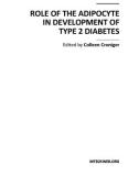 ROLE OF THE ADIPOCYTE IN DEVELOPMENT OF TYPE 2 DIABETES