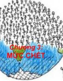 Bài giảng Dân số học - Chương 3: Mức chết