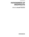 PATHOGENESIS OF ENCEPHALITIS