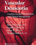 Vascular Dementia