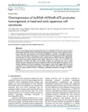 Overexpression of lncRNA H19/miR-675 promotes tumorigenesis in head and neck squamous cell carcinoma