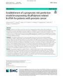 Establishment of a prognostic risk prediction model incorporating disulfidptosis-related lncRNA for patients with prostate cancer