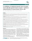 Co-inhibition of epidermal growth factor receptor and insulin-like growth factor receptor 1 enhances radiosensitivity in human breast cancer cells