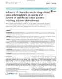 Influence of chemotherapeutic drug-related gene polymorphisms on toxicity and survival of early breast cancer patients receiving adjuvant chemotherapy