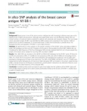 In silico SNP analysis of the breast cancer antigen NY-BR-1