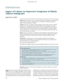 Impact of Culture on Depressive Symptoms of Elderly Chinese Immigrants