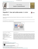 Hepatitis C virus and cardiovascular: A review