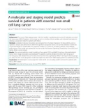 A molecular and staging model predicts survival in patients with resected non-small cell lung cancer