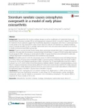 Strontium ranelate causes osteophytes overgrowth in a model of early phase osteoarthritis