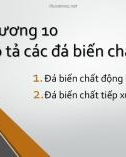 Bài giảng Tinh thể - Khoáng vật - Thạch học - Chương 10: Mô tả các đá biến chất