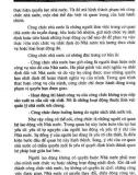 Pháp Luật Đại Cương (Phần 2) part 4