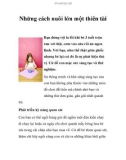 Những cách nuôi lớn một thiên tài