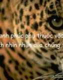 Hạnh phúc phục thuộc vào cách nhìn của chúng ta