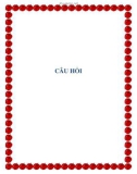 CÂU HỎI.