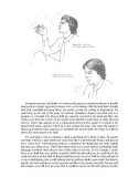 Body language how to read others thoughts by their gesture part 11