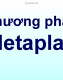 Phương pháp Metaplan trong giải quyết vấn đề