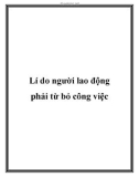 Lí do người lao động phải từ bỏ công việc