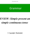 Grammar review : simple present and simple continuos tense